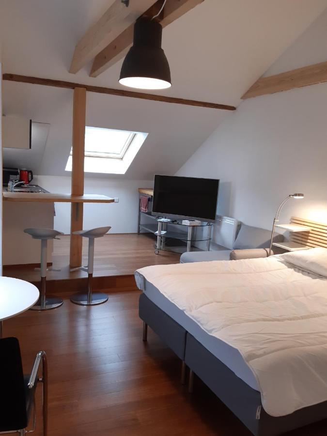 Loft Studio Avec Charme Et Authenticite Altkirch Eksteriør bilde